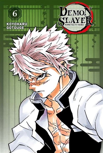 Vol.6 Demon Slayer - Edition Pilier