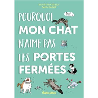Pourquoi mon chat n'aime pas les portes fermées - 1
