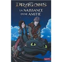 Dragons (film) - La naissance d'une amitié