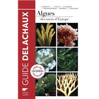 Algues des mers d'Europe