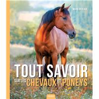 Les chevaux et poneys
