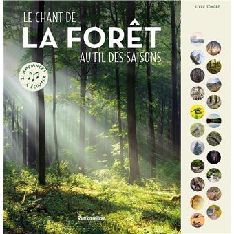 Le chant de la forêt au fil des saisons