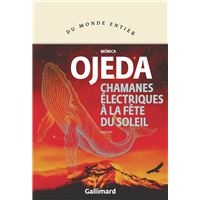 Chamanes électriques à la fête du Soleil