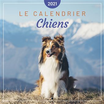 Le calendrier des Chiens 2021 - 1