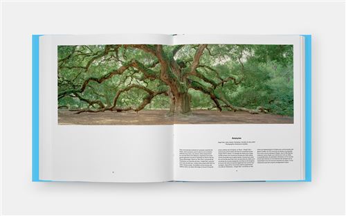 Arbres Explorer le monde, des racines aux cimes - relié - Tony