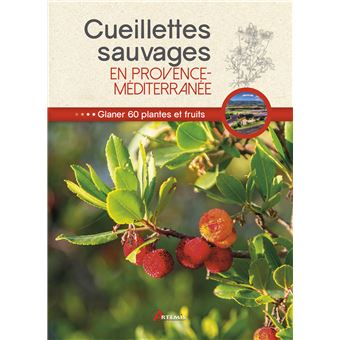 Cueillettes sauvages en Provence-Méditerranée - 1