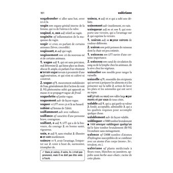 Dictionnaire Mini Larousse