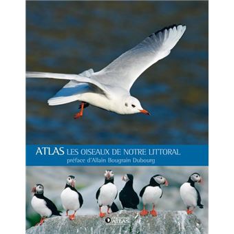Les oiseaux de notre littoral - 1