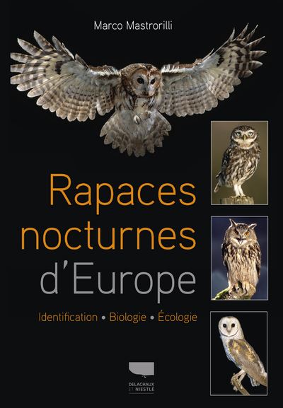 Rapaces nocturnes d'Europe Identification - Biologie - Écologie - Marco Mastrorilli - Delachaux et niestlé - broché - Guide