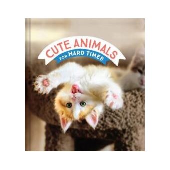 Cute Animals for Hard Times - 1