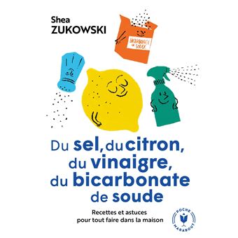 Du sel, du citron, du vinaigre, du bicarbonate de soude - 1