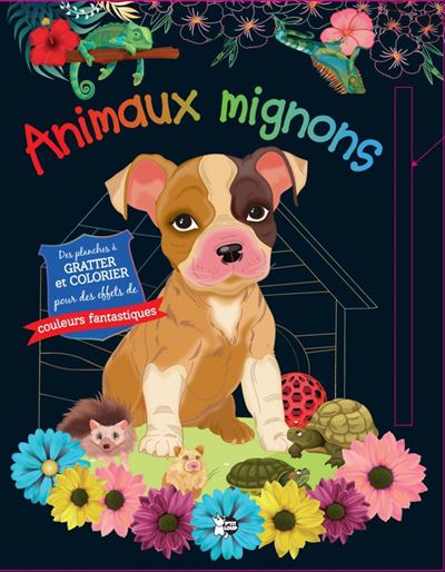 Animaux Mignons - Collectif - P'tit Loup - broché - Document jeunesse