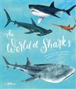 The world of sharks