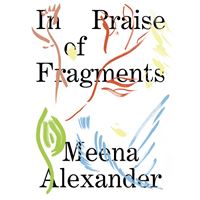 In Praise of Fragments