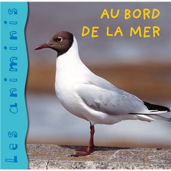 Les Animinis - Au bord de la mer - 1