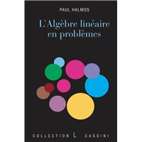 L'algèbre linéaire en problèmes