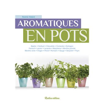 Aromatiques en pots - 1