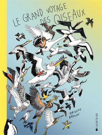 Le grand voyage des oiseaux - Adrienne Barman - Joie De Lire - cartonné - Album jeunesse - Joie De Lire