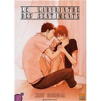 Le labyrinthe des sentiments