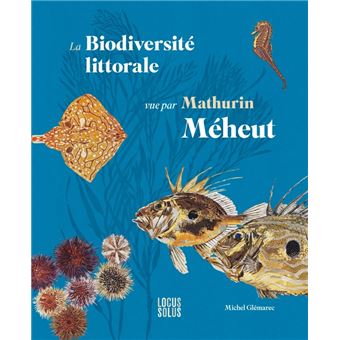 La biodiversité littorale vue par Mathurin Méheut - 1