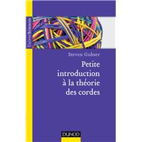 Petite introduction à la théorie des cordes