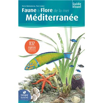 Faune & flore de la mer Méditerranée - 2ème édition - 1