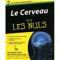 Pour Les Nuls -  : Le cerveau Pour les nuls