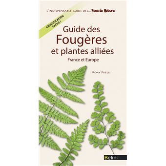 Guide des fougères et plantes alliées - 1