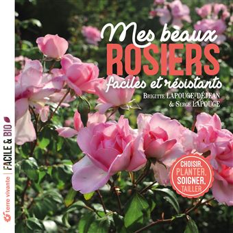 Mes beaux rosiers faciles et résistants - 1