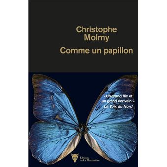 couverture de : Comme un papillon