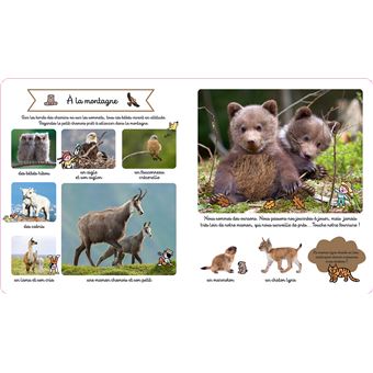 Le grand imagier des bébés animaux à toucher