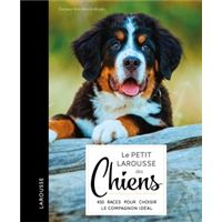 Livre Ancien La Chasse - Larousse - Nature, Armes, Chiens, Gibier - CV15