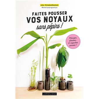 Faites pousser vos noyaux sans pépins ! - 1