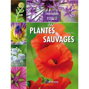 Plantes sauvages - 1