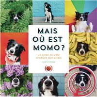 Mais où est Momo ?