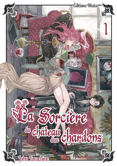 La sorcière du château aux chardons - Tome 1
