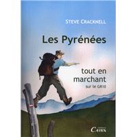 Les Pyrénées tout en marchant sur le GR10