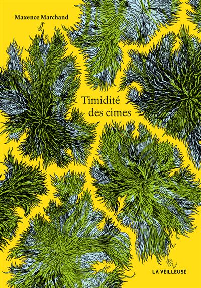 Timidité des cimes - Maxence Marchand - broché