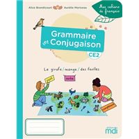 Mes cahiers de Français - Cahier Grammaire-Conjugaison CE2