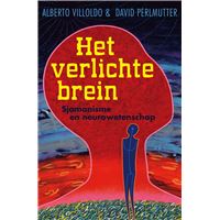 Het verlichte brein
