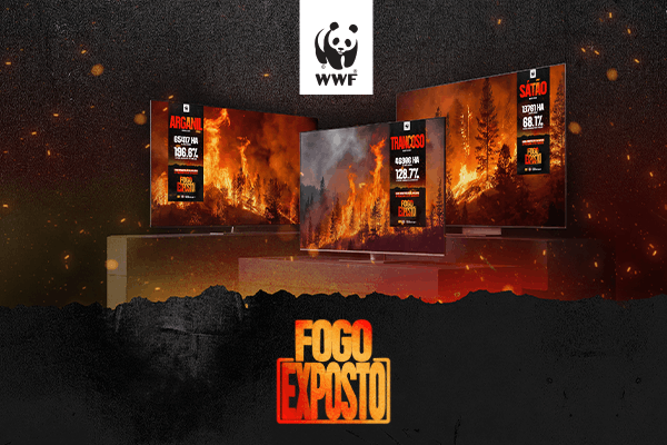 FOGO EXPOSTO