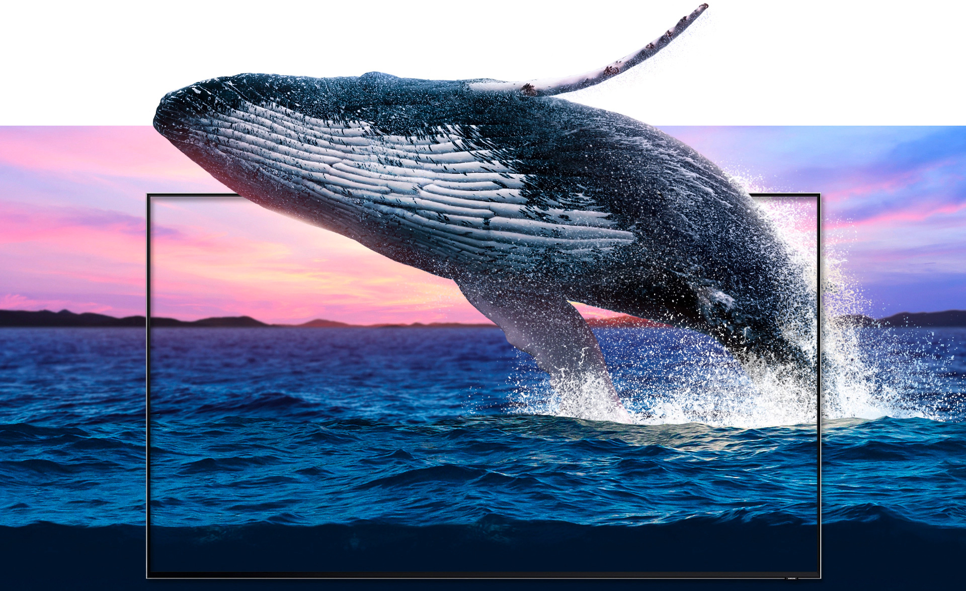 Uma vibrante paisagem marítima justaposta com uma moldura da nova QLED TV instalada no meio da imagem, através da qual uma baleia aparece do oceano. As ondas e a baleia são ilustrados com uma qualidade de detalhes que as tornam extremamente realistas.