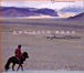 THE SILK ROAD (2CD)