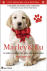 Marley & Eu_0