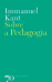 Sobre a Pedagogia_0