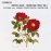 Orchestral Music 1_0