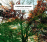 Einaudi | In A Time Lapse_0