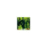 Searching For The Young (Remasters)_0