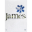 James - Seven... The Live Concert_0