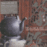 Tea House 3 (2DGP)_0